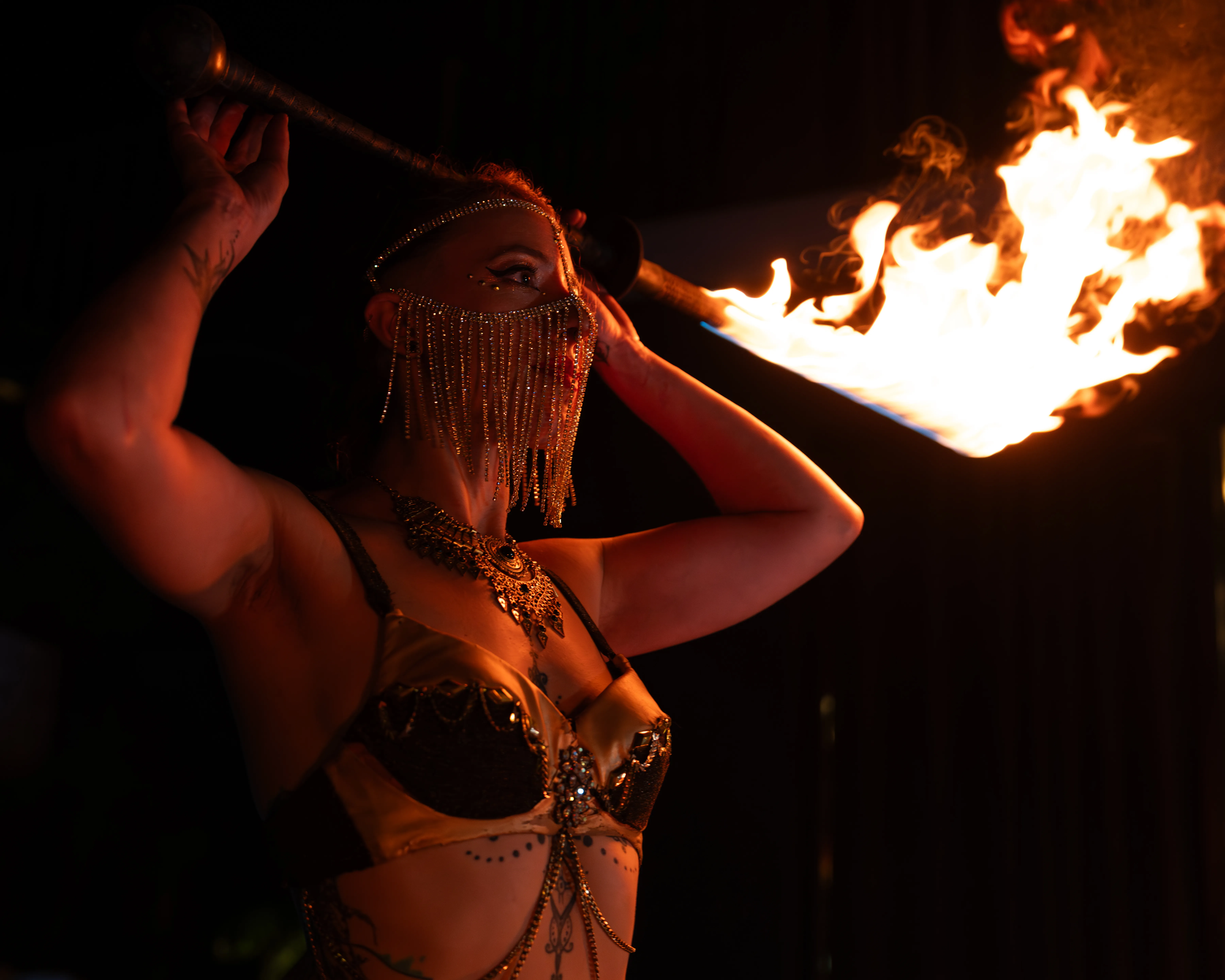 Fire Show 45